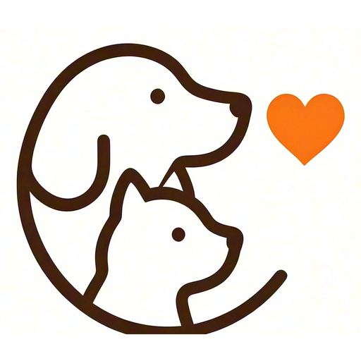chuanki logo