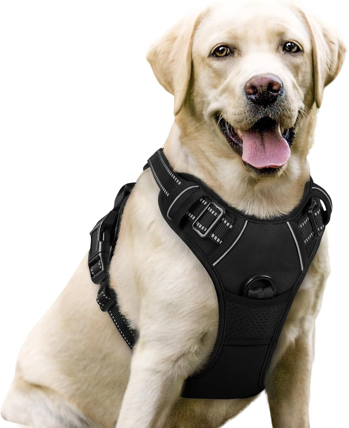 Dog Harness